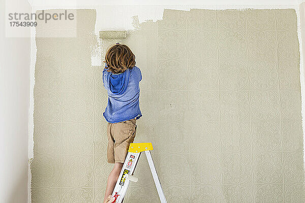 Ein Junge malt mit einem Farbroller eine Wand