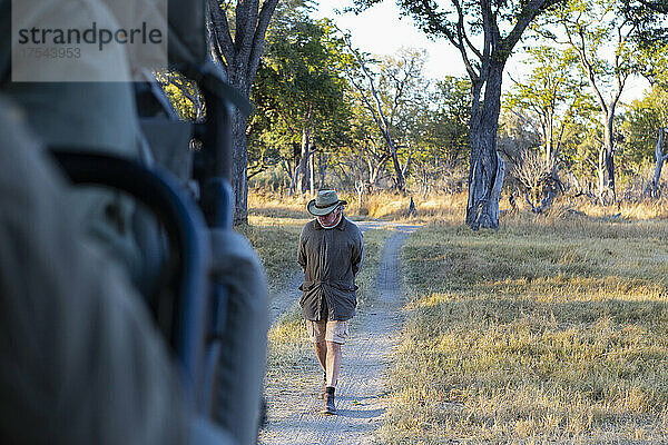 Ein Safariführer  der bei Sonnenaufgang auf einem Pfad vor einem Fahrzeug läuft.