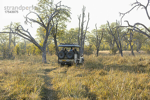 Ein Safarifahrzeug auf einer Pirschfahrt bei Sonnenaufgang