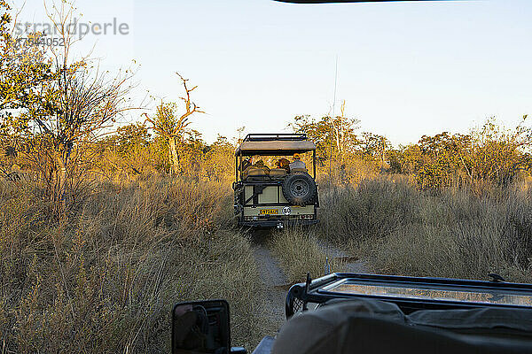 Ein Safari-Jeep mit Passagieren auf einer Fahrt bei Sonnenaufgang durch eine Landschaft.
