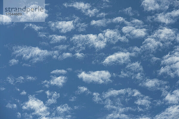 Geschwollene weiße Wolken am blauen Himmel