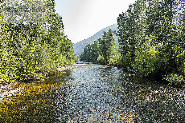 USA  Idaho  Hailey  Big Wood River und Bäume an einem sonnigen Tag