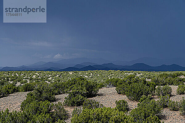 USA  New Mexico  Cerrillos  Wüstenlandschaft während der Monsunzeit