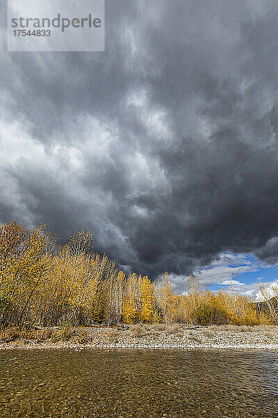 USA  Idaho  Bellevue  Sturmwolken über dem Herbstwald und dem Big Wood River