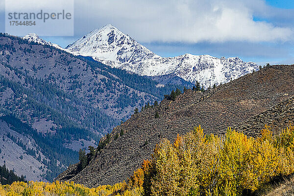 USA  Idaho  Ketchum  gelbe Bäume und schneebedeckte Berge im Herbst