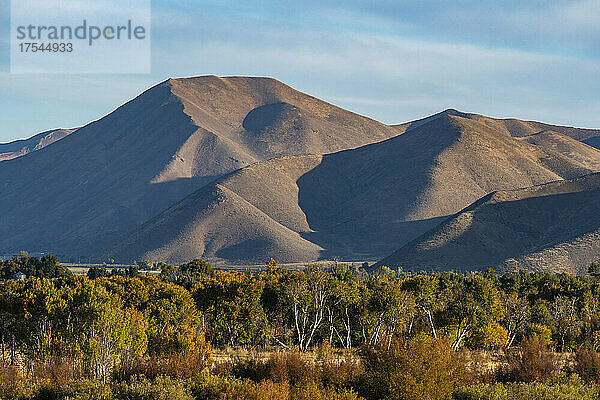 USA  Idaho  Bellevue  Wald und Berge im Herbst