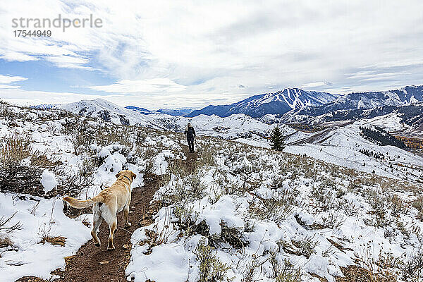 USA  Idaho  Ketchum  Seniorin und Labrador Retriever auf Fußweg in schneebedeckter Landschaft