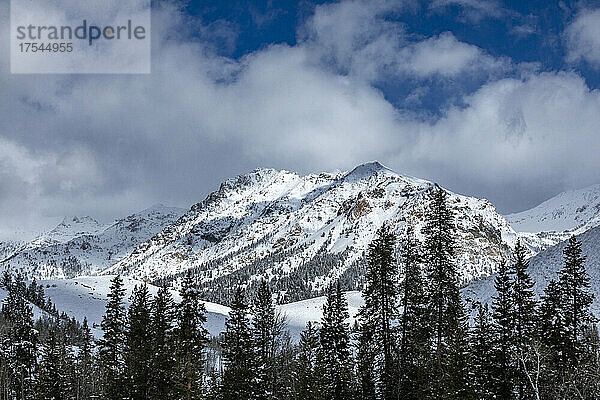 USA  Idaho  Ketchum  Berglandschaft und Wald im Winter