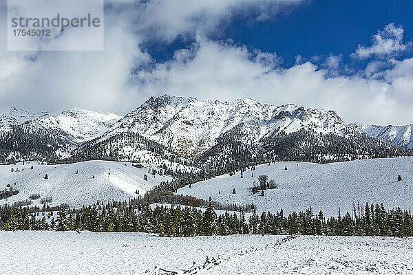 USA  Idaho  Sun Valley  Berglandschaft und Wald im Winter