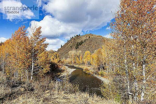 USA  Idaho  Ketchum  Herbstlandschaft an einem sonnigen Tag
