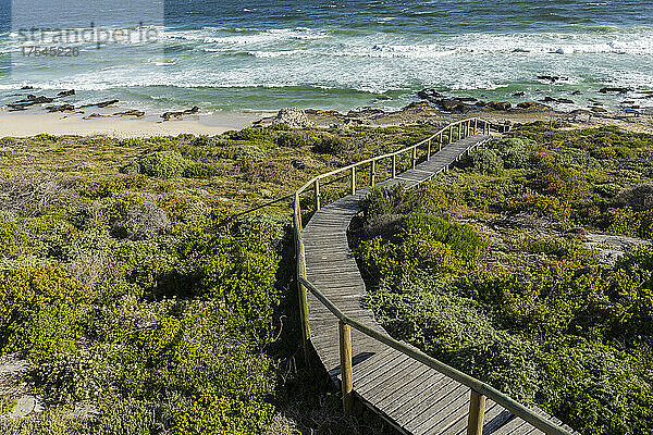 Südafrika  Westkap  Holzbrücke zum Strand im Lekkerwater Nature Reserve