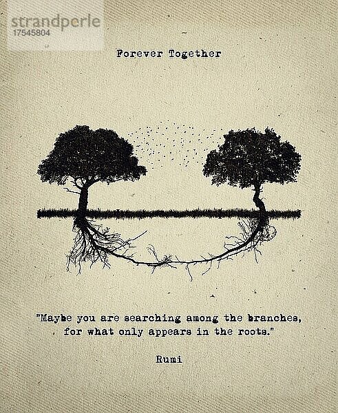 Vielleicht suchst du zwischen den Zweigen nach dem  was nur in den Wurzeln erscheint. Inspirierendes Zitat von Rumi zusammen mit einer konzeptionellen Kunst. Zwei Bäume  die durch Wurzeln verbunden sind. Beziehung und Zusammengehörigkeit