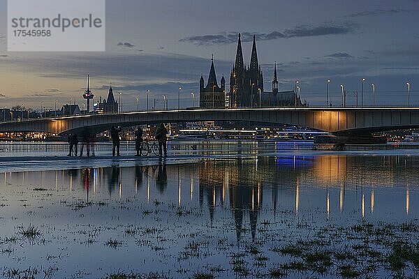 Hochwasser in Köln  Deutzer Brücke  Groß St. Martin und Kölner Dom  Ausblick von der Deutzer Rheinseite  Abenddämmerung  UNESCO-Welterbe  Köln  Nordrhein-Westfalen  Deutschland  Europa