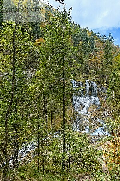 Wasserfälle Weißbach  Schneizlreuth  Berchtesgadener Land  Bayern  Deutschland  Europa