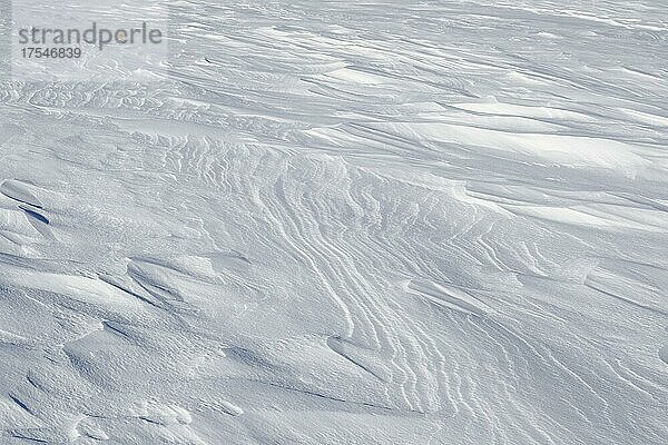 Schneeverwehungsmuster  Provinz Quebec  Kanada  Nordamerika