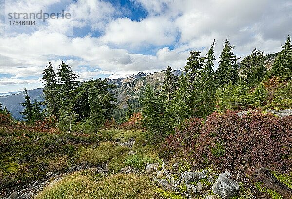 Berglandschaft im Herbst  Ausblick auf Mt. Baker in Wolken mit Schnee und Gletscher  Mt. Baker-Snoqualmie National Forest  Washington  USA  Nordamerika