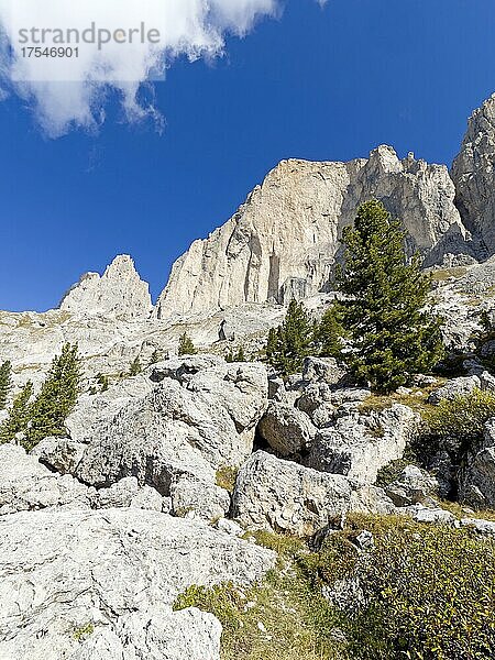 Berglandschaft  Rosengarten  Dolomiten  Trentino  Südtirol  Italien  Europa