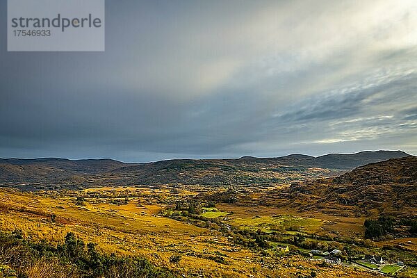 Herbstliche Landschaft  Killarny  County Kerry  Irland  Europa