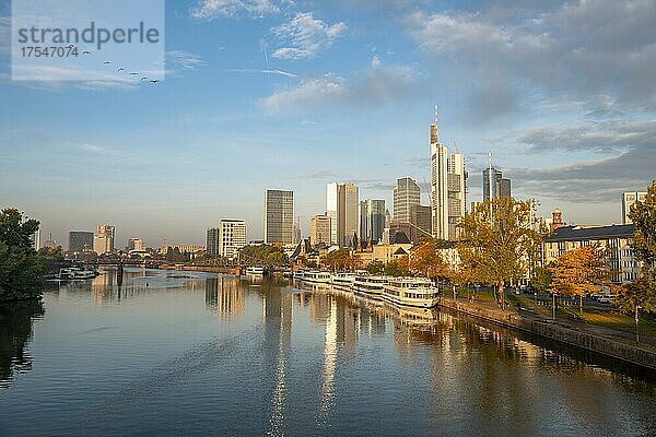 Ausflugsschiffe am Ufer  Blick über den Main  Skyline spiegelt sich im Fluss  Hochhäuser im Bankenviertel im Morgenlicht  Frankfurt am Main  Hessen  Deutschland  Europa