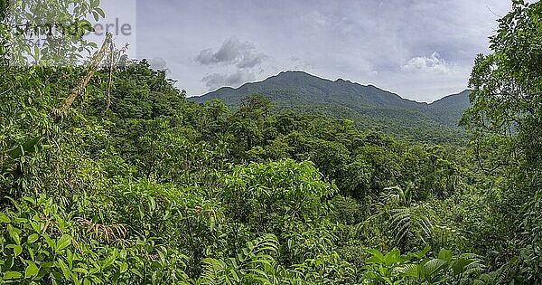 Blick zum Vulkan  Nationalpark Tenorio  Upala  Provinz Alajuela  Costa Rica  Mittelamerika