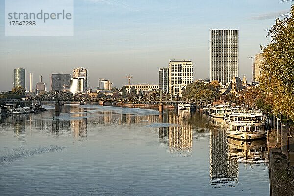 Uferpromenade am Main  Hochhäuser im Bankenviertel im Morgenlicht  Frankfurt am Main  Hessen  Deutschland  Europa