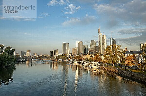 Ausflugsschiffe am Ufer  Blick über den Main  Skyline spiegelt sich im Fluss  Hochhäuser im Bankenviertel im Morgenlicht  Frankfurt am Main  Hessen  Deutschland  Europa