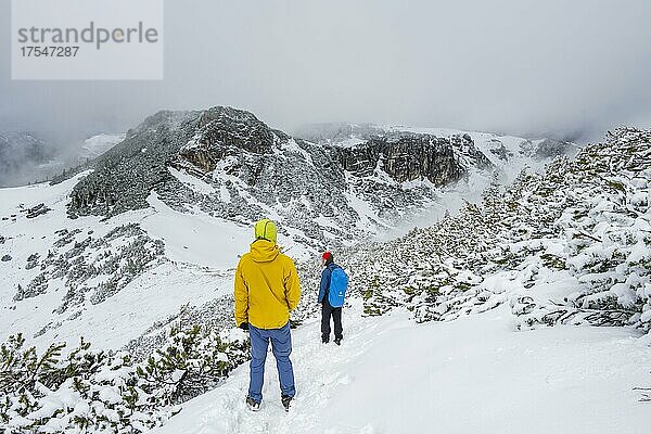 Zwei Wanderer auf Wanderweg im Schnee  Wanderung zum Geigelstein im Frühling  Chiemgauer Alpen  Bayern  Deutschland  Europa
