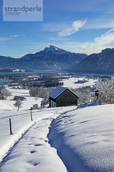 Blick ins verschneite Mondseeland mit Schafberg  Mondsee  Salzkammergut  Oberösterreich  Österreich  Europa