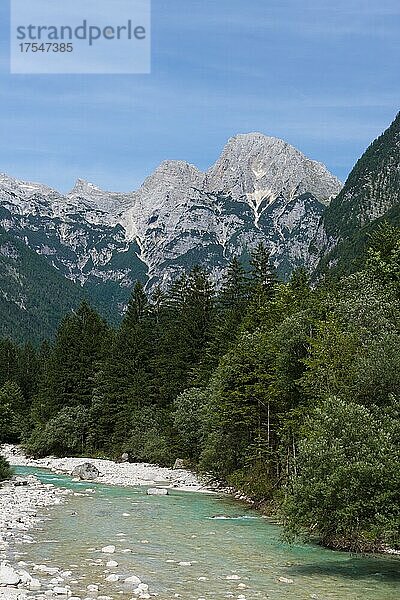 Gebirgsfluss Soca mit kristallklarem  türkisblauen Wasser  Soca-Tal  Triglav Nationalpark  Bovec  Kanin Gebirge  Julische Alpen  Slowenien  Europa