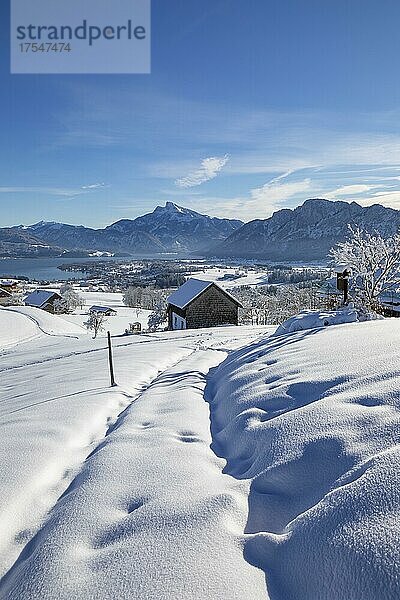 Blick ins verschneite Mondseeland mit Schafberg und Drachenwand  Mondsee  Salzkammergut  Oberösterreich  Österreich  Europa