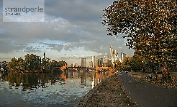 Flusspromenade am Main  Skyline  Hochhäuser im Bankenviertel im Morgenlicht  Sonnenaufgang  Herbst  Frankfurt am Main  Hessen  Deutschland  Europa