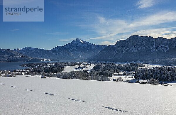 Blick ins verschneite Mondseeland mit Schafberg und Drachenwand  Mondsee  Salzkammergut  Oberösterreich  Österreich  Europa