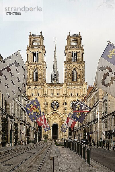 Rü Jeanne dArc  Kathedrale Sainte-Croix dOrleans  Orleans  Centre  Frankreich  Europa