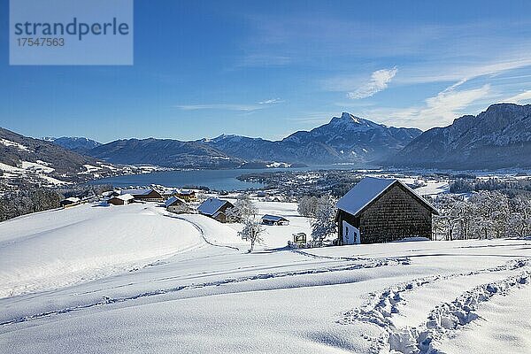 Blick ins verschneite Mondseeland mit Schafberg und Drachenwand  Mondsee  Salzkammergut  Oberösterreich  Österreich  Europa