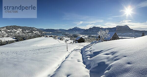 Blick ins verschneite Mondseeland mit Schafberg und Drachenwand  Mondsee  Salzkammergut  Oberösterreich  Österreich  Europa