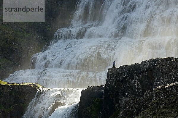Mensch steht vor stürzenden Wassermassen eines Wasserfalls  Dynjandi  Fjallfoss  Westfjorde  Island  Europa