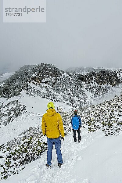 Zwei Wanderer auf Wanderweg im Schnee  Wanderung zum Geigelstein im Frühling  Chiemgauer Alpen  Bayern  Deutschland  Europa