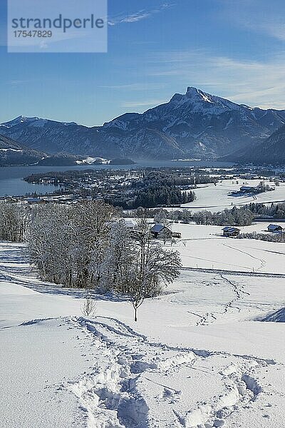 Blick ins verschneite Mondseeland mit Schafberg  Mondsee  Salzkammergut  Oberösterreich  Österreich  Europa