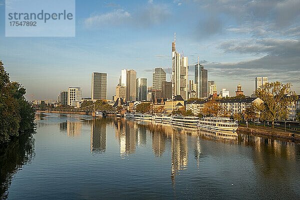 Ausflugsschiffe am Ufer  Blick über den Main  Skyline spiegelt sich im Fluss  Hochhäuser im Bankenviertel im Morgenlicht  Frankfurt am Main  Hessen  Deutschland  Europa