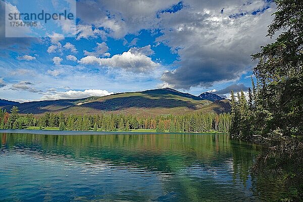 Glasklarer See  Wald und Berge  Jasper  Jasper Nationalpark  Alberta  Kanada  Nordamerika