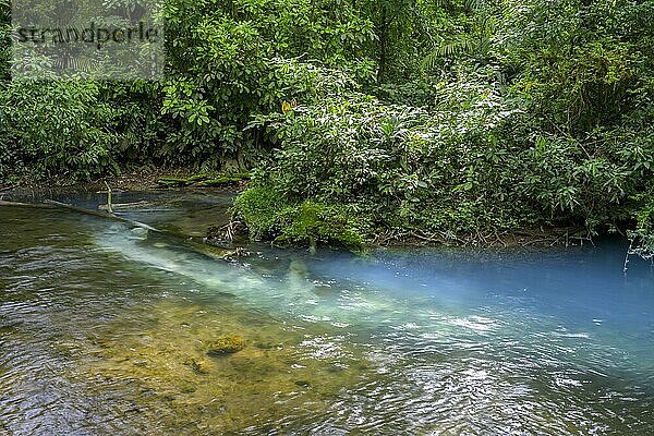 Quelle mit Schwefel und Kalziumkarbonat die das blau türkise Wasser des Rio Celeste verursacht  Nationalpark Tenorio  Upala  Provinz Alajuela  Costa Rica  Mittelamerika