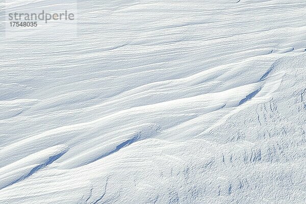 Schneeverwehung  Provinz Quebec  Kanada  Nordamerika