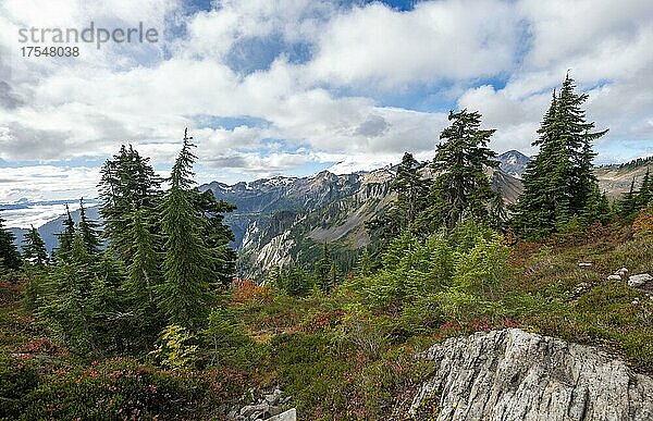 Berglandschaft im Herbst  Ausblick auf Mt. Baker in Wolken mit Schnee und Gletscher  Mt. Baker-Snoqualmie National Forest  Washington  USA  Nordamerika