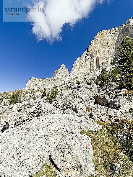 Berglandschaft  Rosengarten  Dolomiten  Trentino  Südtirol  Italien  Europa