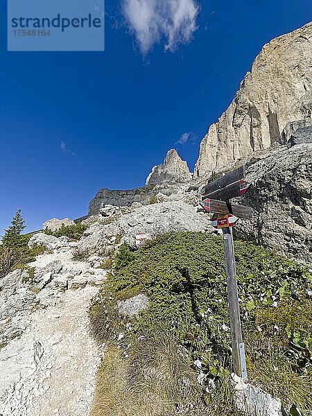 Wanderweg mit Wegweiser  Rosengarten  Dolomiten  Trentino  Südtirol  Italien  Europa