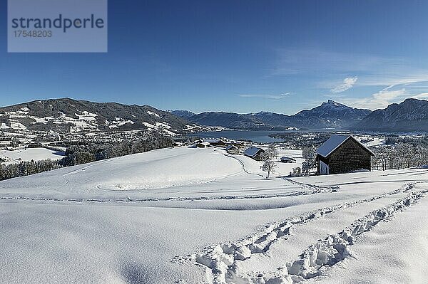 Blick ins verschneite Mondseeland mit Schafberg und Drachenwand  Mondsee  Salzkammergut  Oberösterreich  Österreich  Europa