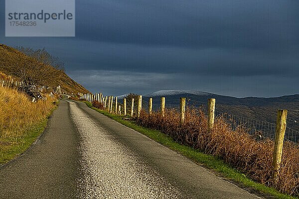 Kleine Straße in herbstlicher Landschaft  Killarny  County Kerry  Irland  Europa
