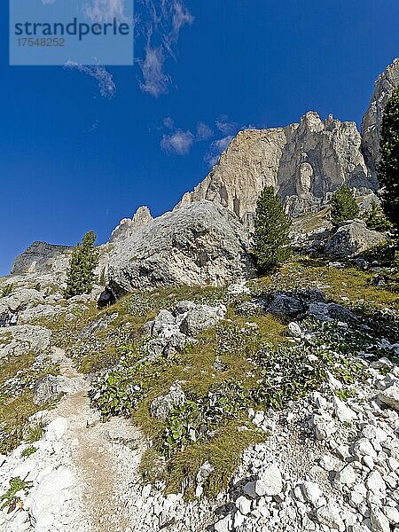 Wanderweg  Rosengarten  Dolomiten  Trentino  Südtirol  Italien  Europa
