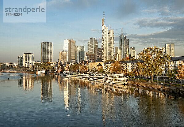 Ausflugsschiffe am Ufer  Blick über den Main  Skyline spiegelt sich im Fluss  Hochhäuser im Bankenviertel im Morgenlicht  Frankfurt am Main  Hessen  Deutschland  Europa