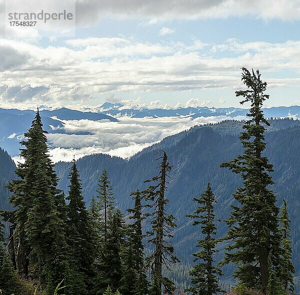 Berglandschaft in Wolken  Mount Baker-Snoqualmie National Forest  Washington  USA  Nordamerika